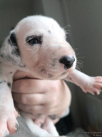 IMG_20250118_122456_web