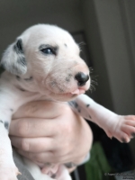 IMG_20250118_122457_web