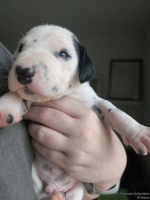 IMG_20250118_122509_web