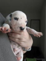 IMG_20250118_122510_web