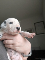 IMG_20250118_122512_web