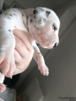 IMG_20250118_122513_web