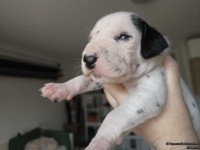 IMG_20250118_122524_web