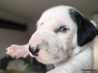 IMG_20250118_122526_web