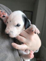 IMG_20250118_122539_web