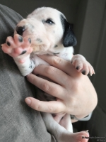 IMG_20250118_122541_web