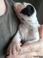 IMG_20250118_122546_web