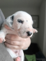 IMG_20250118_122556_web