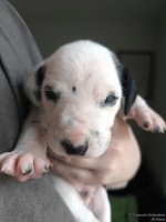 IMG_20250118_122557_web