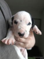 IMG_20250118_122559_web