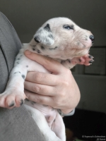 IMG_20250118_122602_web