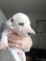 IMG_20250118_122603_web