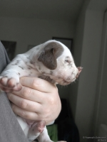 IMG_20250118_122621_web