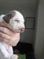 IMG_20250118_122638_web