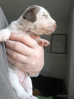 IMG_20250118_122639_web