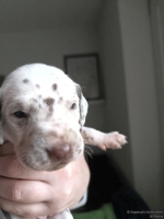 IMG_20250118_122654_web