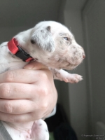 IMG_20250118_122656_web