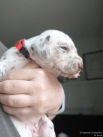 IMG_20250118_122658_web