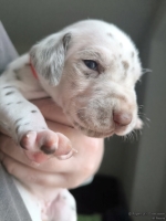 IMG_20250118_122659_web