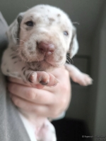 IMG_20250118_122700_web