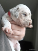 IMG_20250118_122702_web