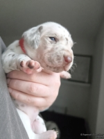 IMG_20250118_122710_web