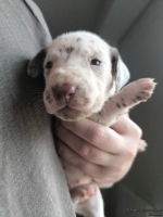 IMG_20250118_122718_web