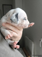 IMG_20250118_123106_web