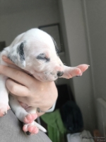 IMG_20250118_123108_web