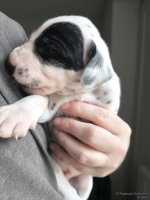 IMG_20250118_123122_web