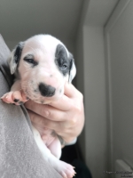 IMG_20250118_123128_web