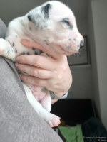 IMG_20250118_123132_web