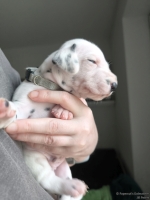 IMG_20250118_123206_web