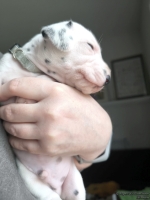 IMG_20250118_123214_web