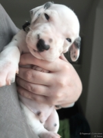 IMG_20250118_123220_web