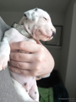 IMG_20250118_123222_web