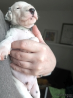 IMG_20250118_123223_web