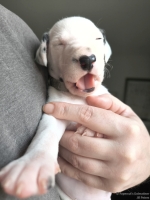 IMG_20250118_123228_web