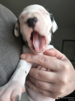 IMG_20250118_123229_web