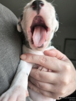 IMG_20250118_123230_web