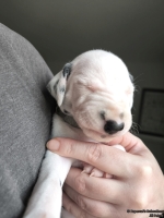 IMG_20250118_123231_web