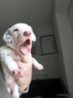 IMG_20250118_123317_web