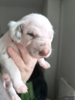 IMG_20250118_123323_web