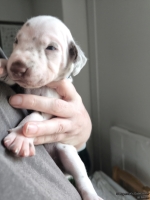 IMG_20250118_123415_web