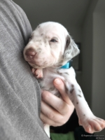 IMG_20250118_123423_web