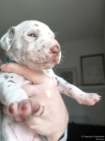 IMG_20250118_123446_web