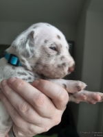 IMG_20250118_123454_web