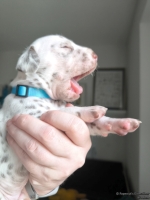 IMG_20250118_123456_web