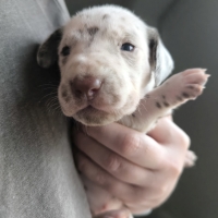 IMG_20250118_122718_web