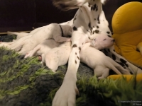 IMG_20250115_085412_web